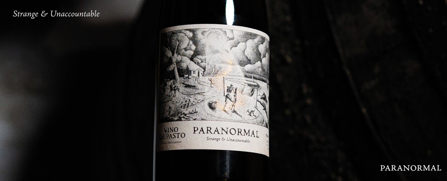Paranormal Bodegas Baron Sherry Sanlucar de Barrameda